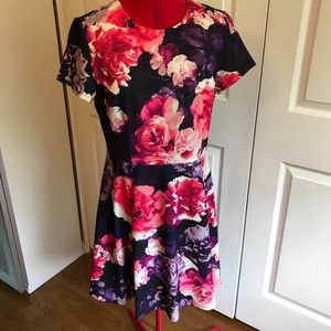 Eliza J Fit and Flare Floral Dress Size 10